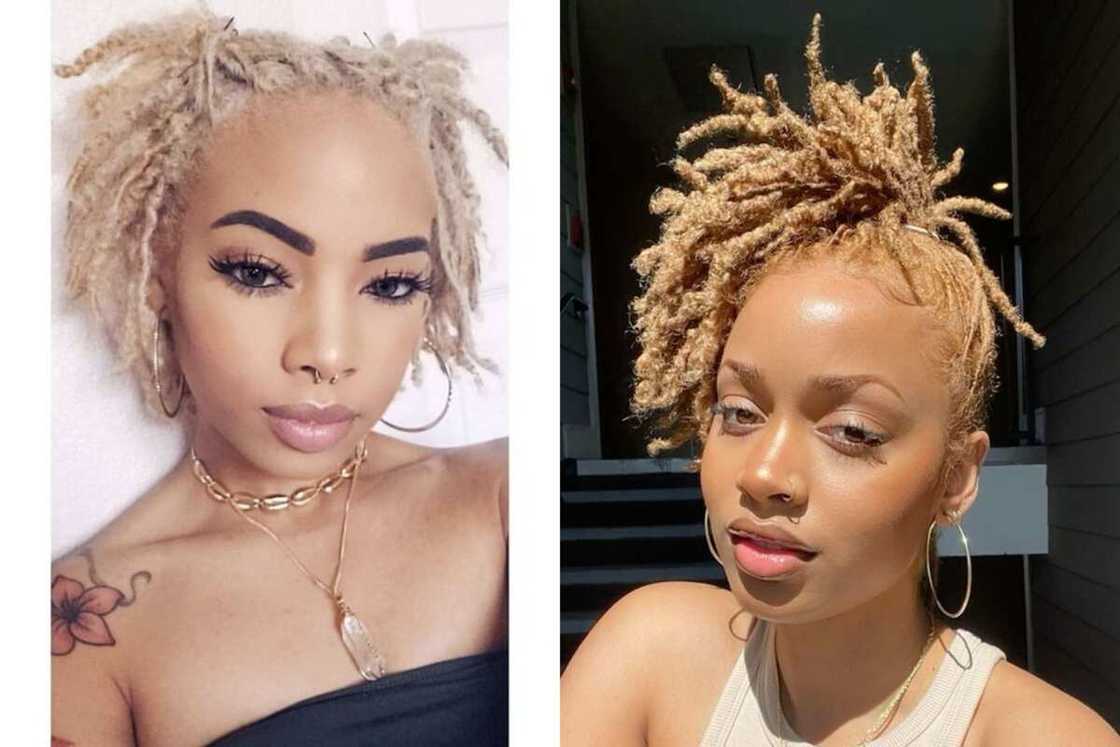 beginner short dreadlocks styles for ladies beginner short dreadlocks styles for ladies