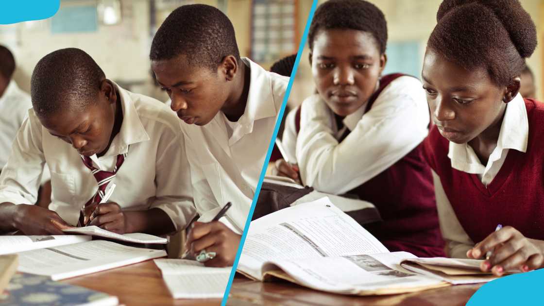 Students studying in the classrom Students studying in the classrom