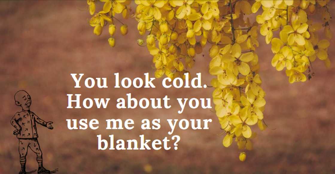 crazy quotes crazy quotes