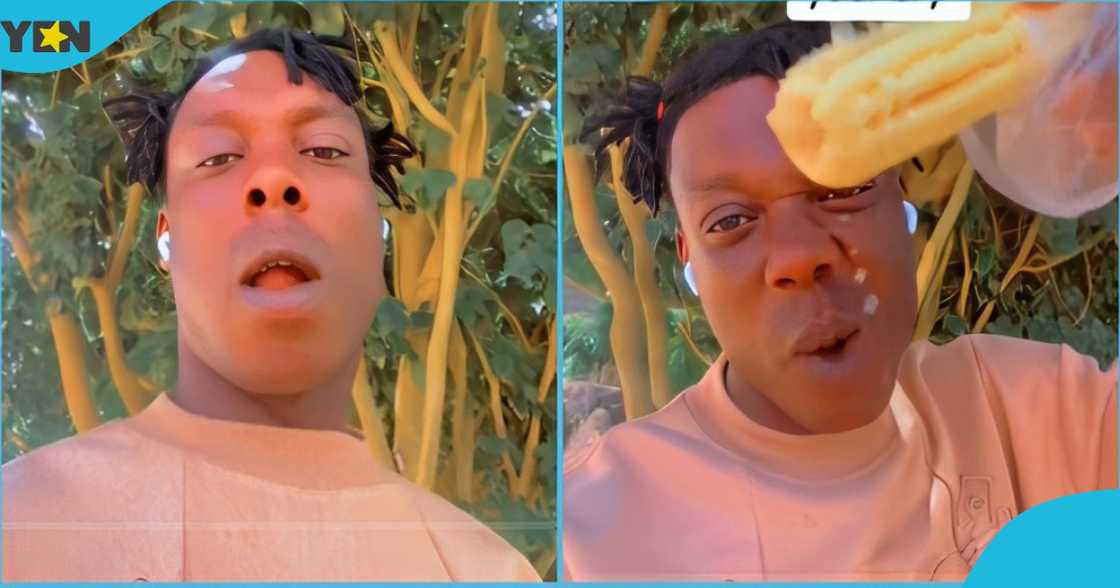 Photo of a young Nigerian man showing a cob of corn he bought in Accra. Photo of a young Nigerian man showing a cob of corn he bought in Accra.