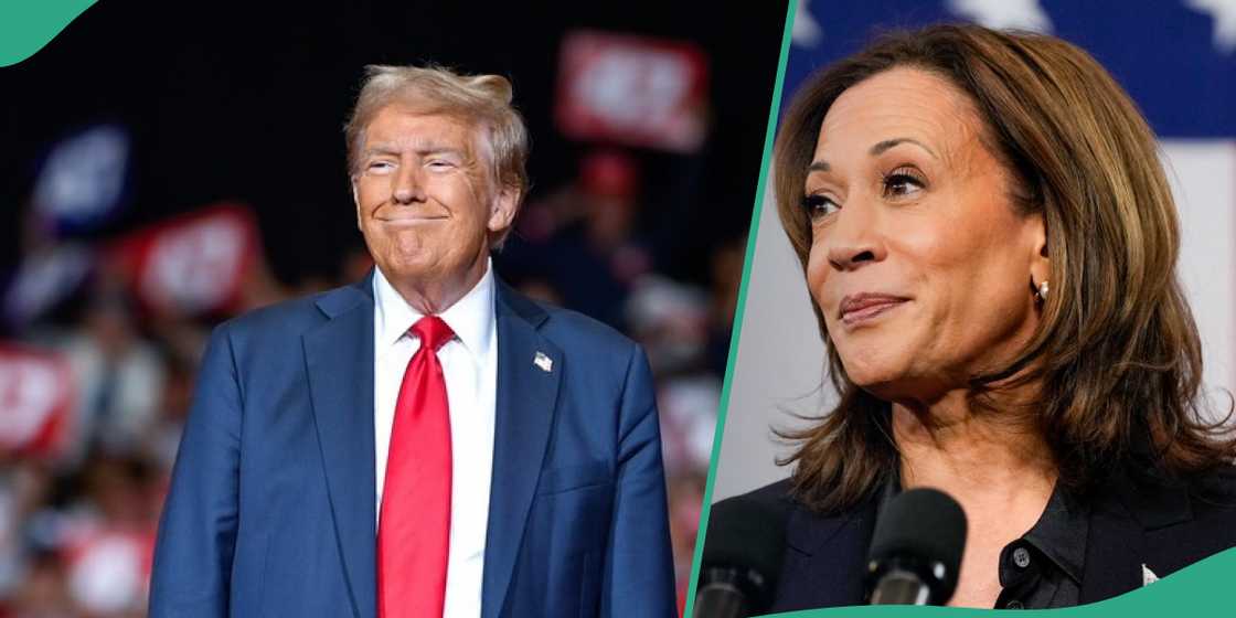 Donald Trump vs Harris: New poll discloses who is leading as early voting records smashed in US Donald Trump vs Harris: New poll discloses who is leading as early voting records smashed in US