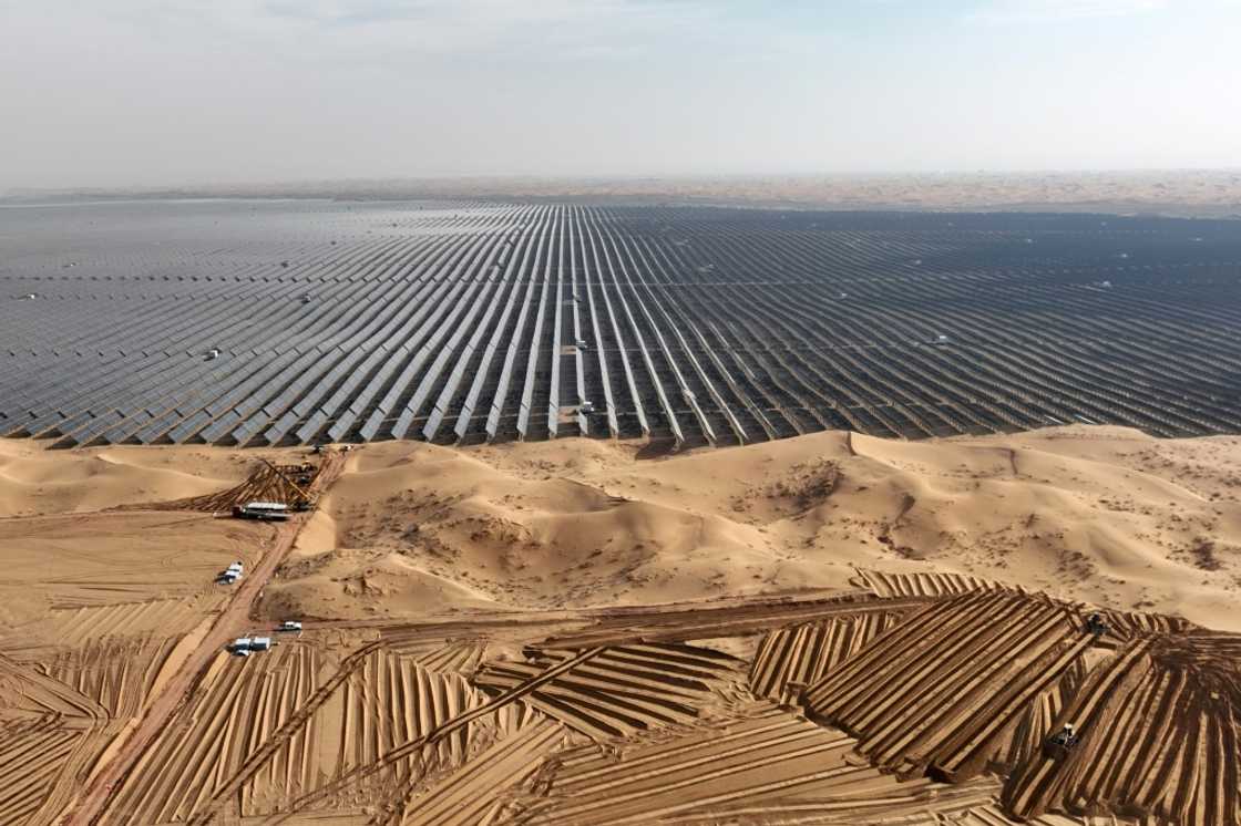 A field of solar panels in China, which the IEA dubs 'the world's renewables powerhouse' A field of solar panels in China, which the IEA dubs 'the world's renewables powerhouse'