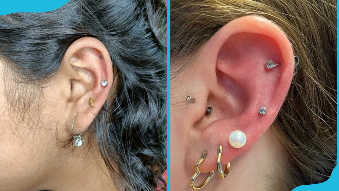 Mid-helix piercing with a golden stud (L) mid-helix piercing with a small stud (R) Mid-helix piercing with a golden stud (L) mid-helix piercing with a small stud (R)