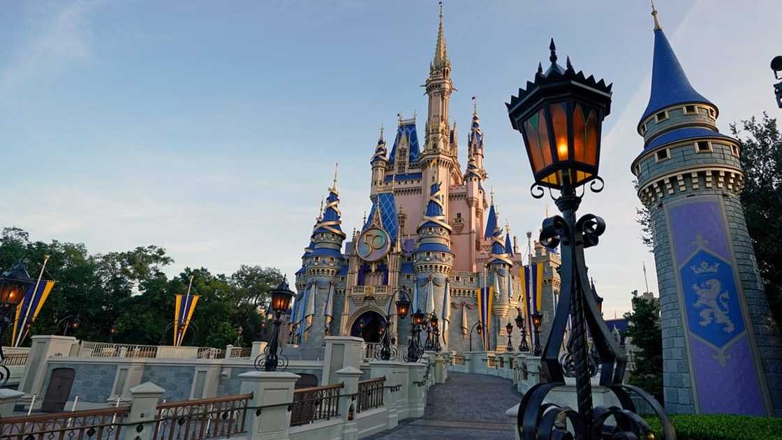 The three employees have been working at the park since 1971.