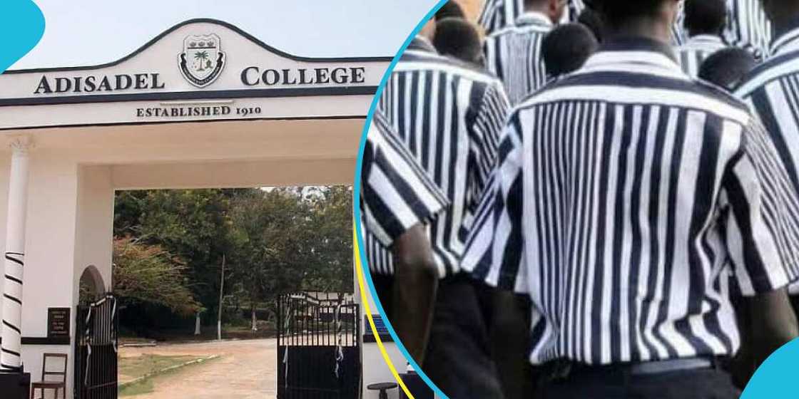 Adisadel College Assault