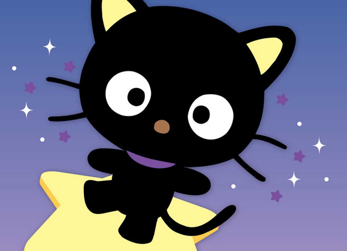 Sanrio character Chococat