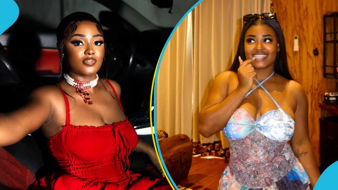 ama burland, experience ama burland, experience