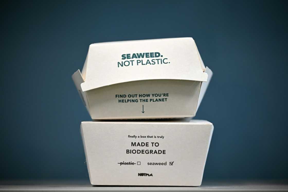 UK start-up Notpla makes naturally degrading -- and even edible -- packaging from seaweed and other marine plants UK start-up Notpla makes naturally degrading -- and even edible -- packaging from seaweed and other marine plants