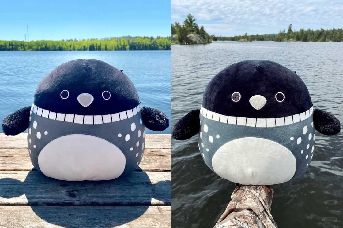 Lenora the Loon is standing next a water bodies Lenora the Loon is standing next a water bodies