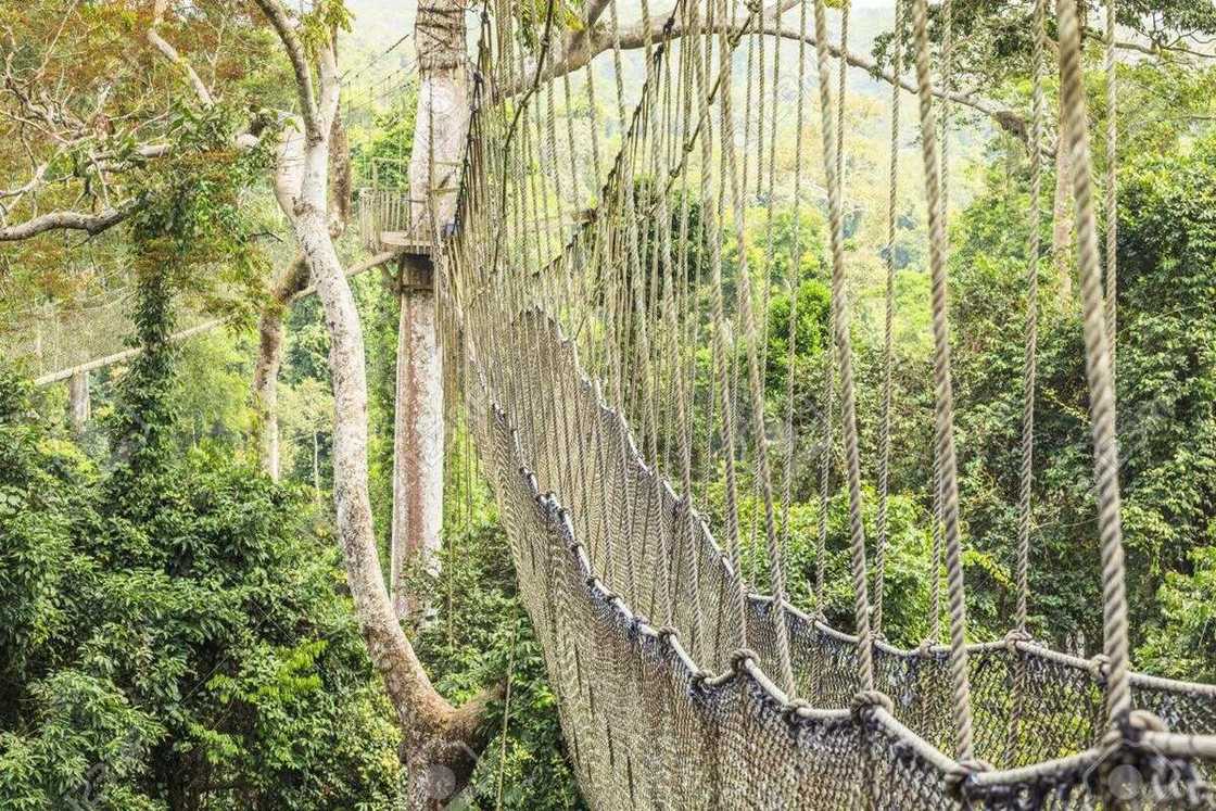 kakum national park ghana