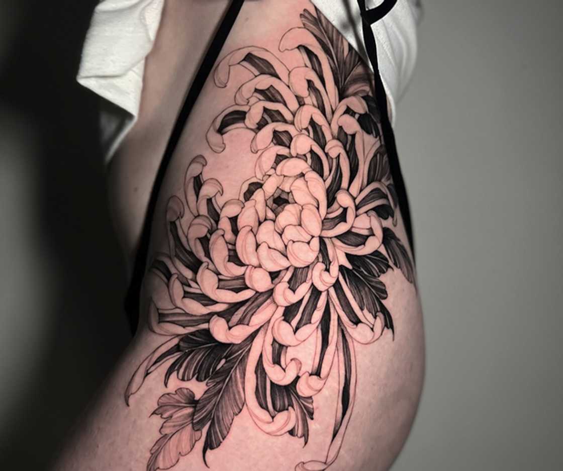 Chrysanthemum flower tattoo