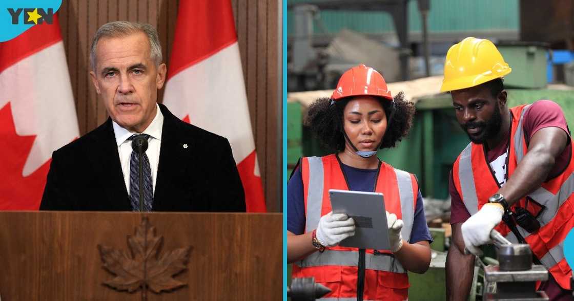 Canada, Canada immigration pathways, immigration authority, Immigration, Refugees, Citizenship Canada, IRCC, Canada youth mobility work permit programme Canada, Canada immigration pathways, immigration authority, Immigration, Refugees, Citizenship Canada, IRCC, Canada youth mobility work permit programme