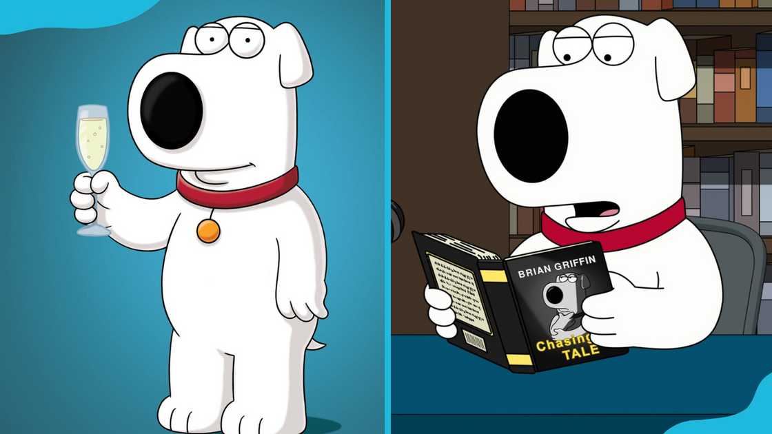 Brian Griffin from Family Guy. Brian Griffin from Family Guy.