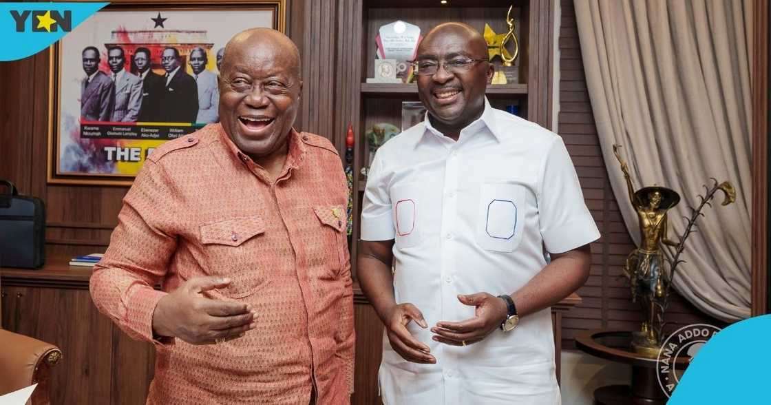 Former President, Nana Akufo-Addo, Dr Mahamudu Bawumia, NPP, presidential primary.