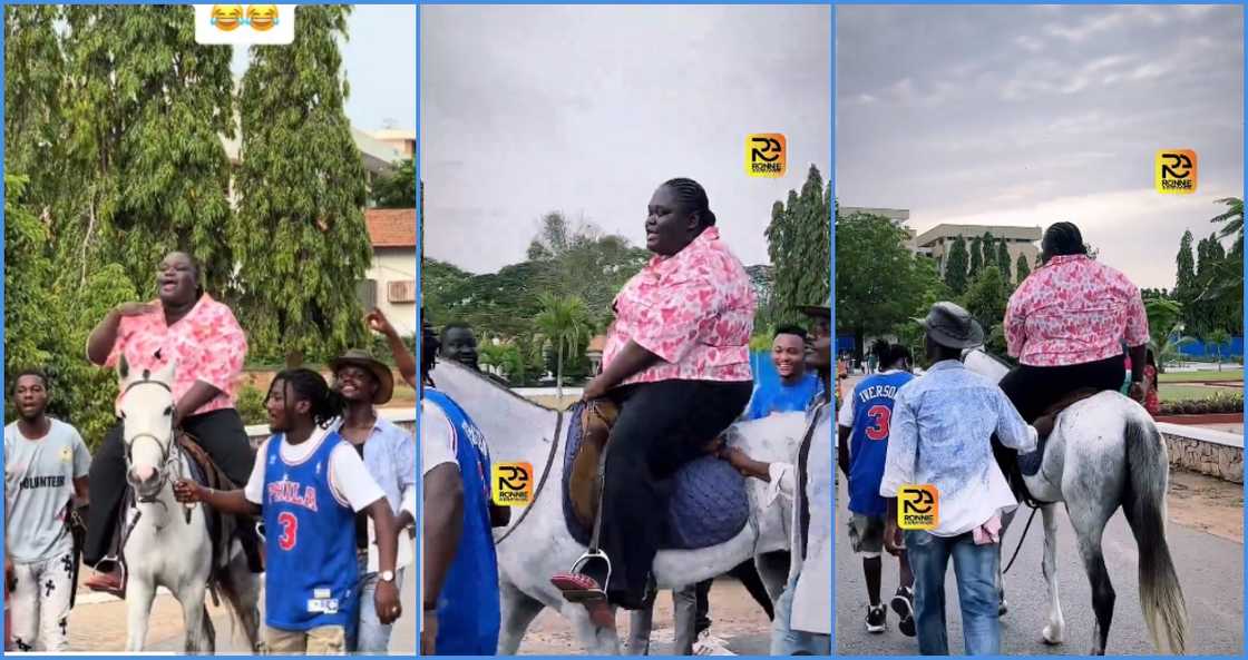 Thick and curvy Ghanaian lady gallantly rides skinny horse in trending video Thick and curvy Ghanaian lady gallantly rides skinny horse in trending video