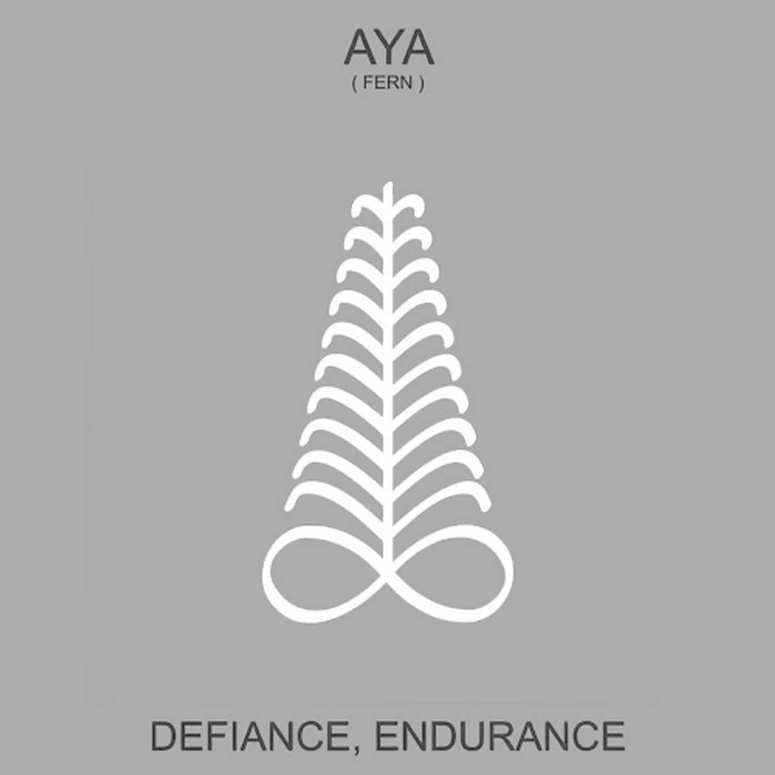 Adinkra symbols explained Adinkra symbols explained