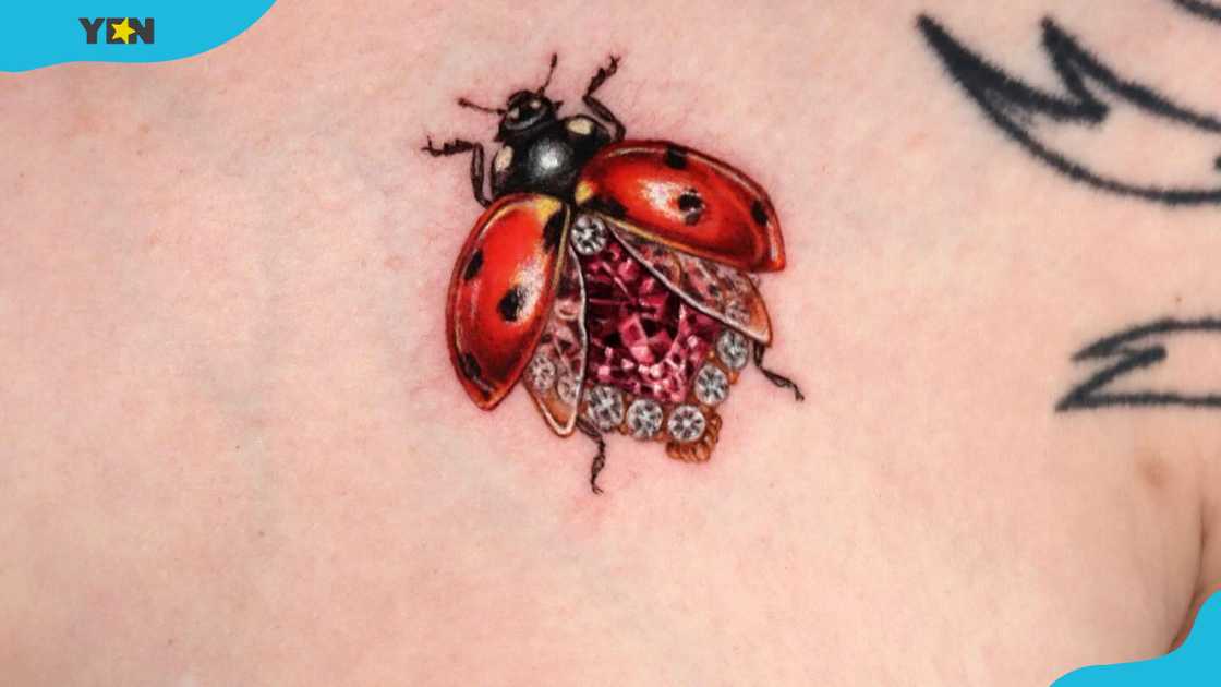 A detailed ladybug tattoo on the chest