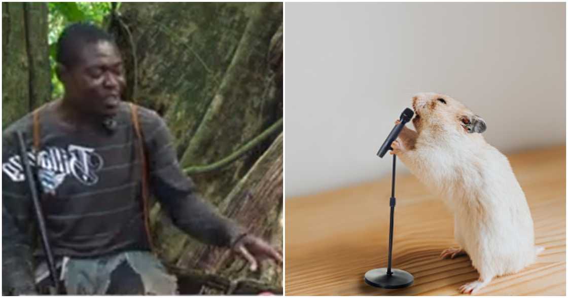 Kofi Bonah Kofi Bonah