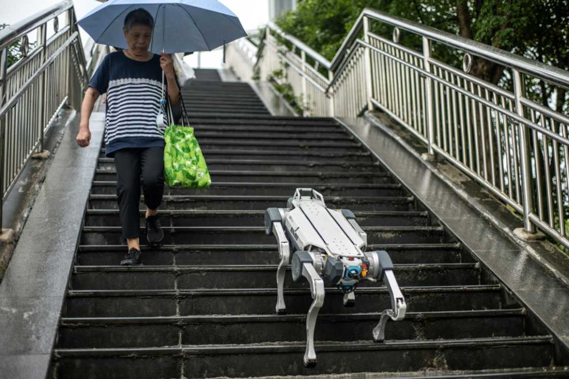A robot dog walks down a pedestrian bridge in the Asian Games host city Hangzhou A robot dog walks down a pedestrian bridge in the Asian Games host city Hangzhou