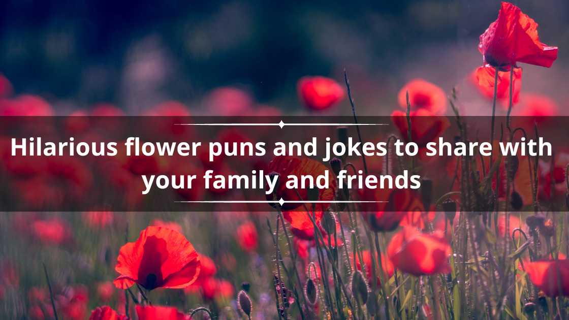 flower puns