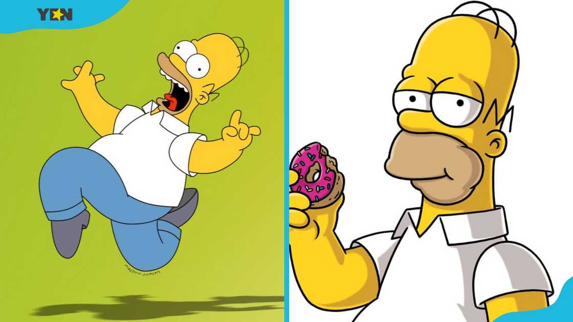 Homer Simpson from The Simpsons Homer Simpson from The Simpsons