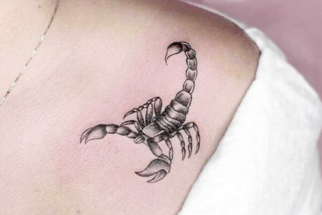 A moving scorpion shoulder tattoo A moving scorpion shoulder tattoo