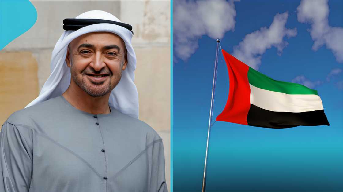 UAE visa application errors, urgent visa processing mistakes, foreigners visa application UAE, passport validity requirements UAE, priority visa processing UAE, document quality for visa, urgent application submission tips