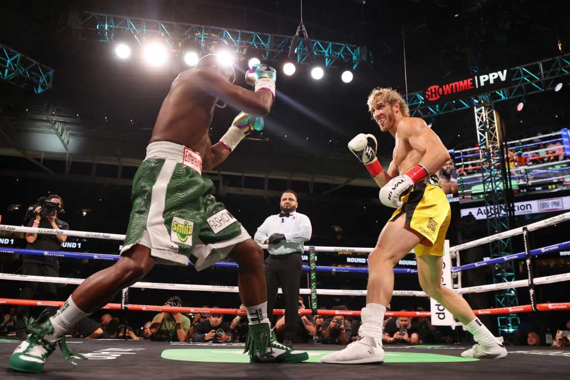 Logan Paul's boxing Logan Paul's boxing