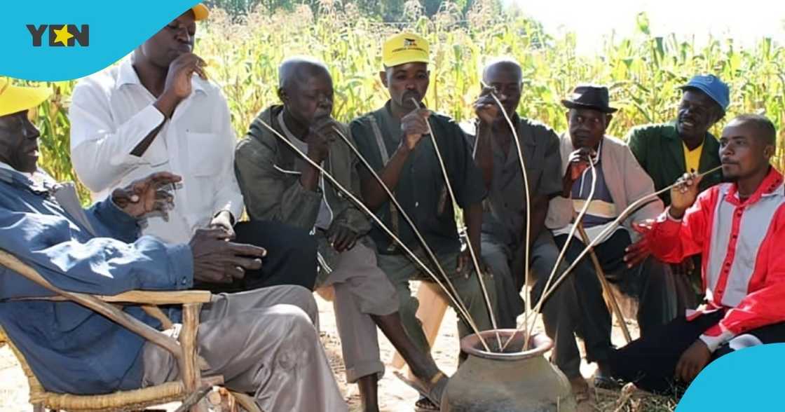 Ghana Drunkards Association, alcoholic prices, cedi gain, ghanaian cedi, drunkards in ghana Ghana Drunkards Association, alcoholic prices, cedi gain, ghanaian cedi, drunkards in ghana