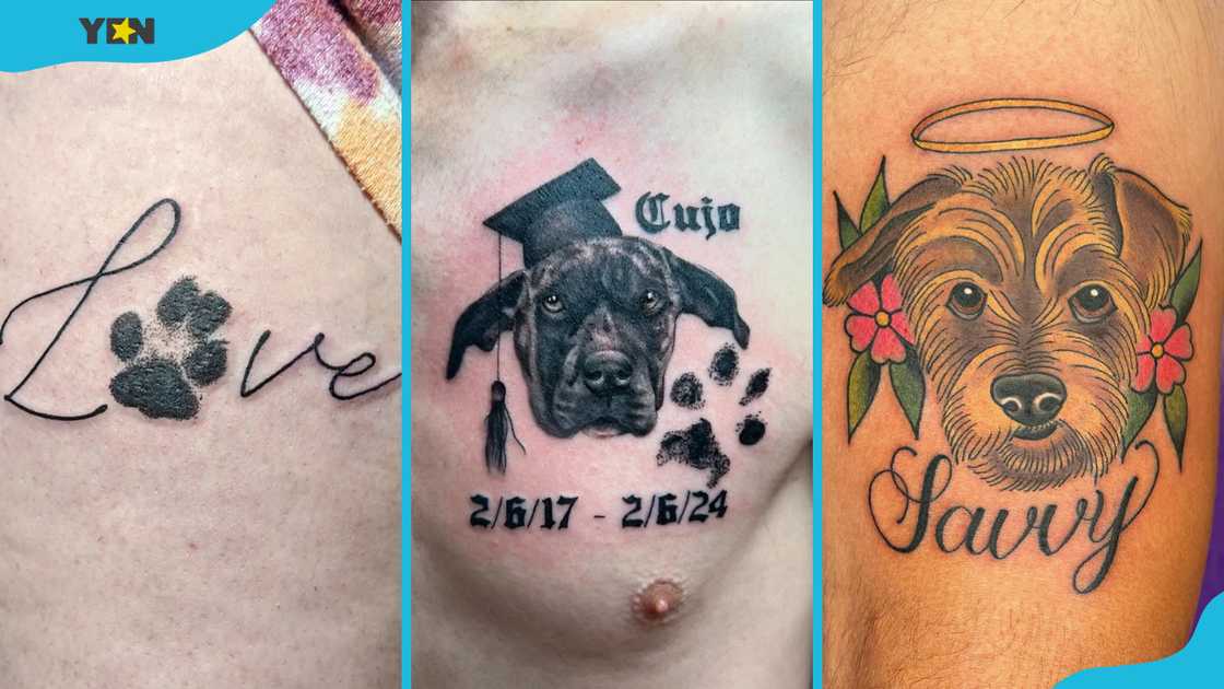 Name with paw print tattoo (L), portrait with dates tattoo (C), portrait with a name tattoo (R). Name with paw print tattoo (L), portrait with dates tattoo (C), portrait with a name tattoo (R).