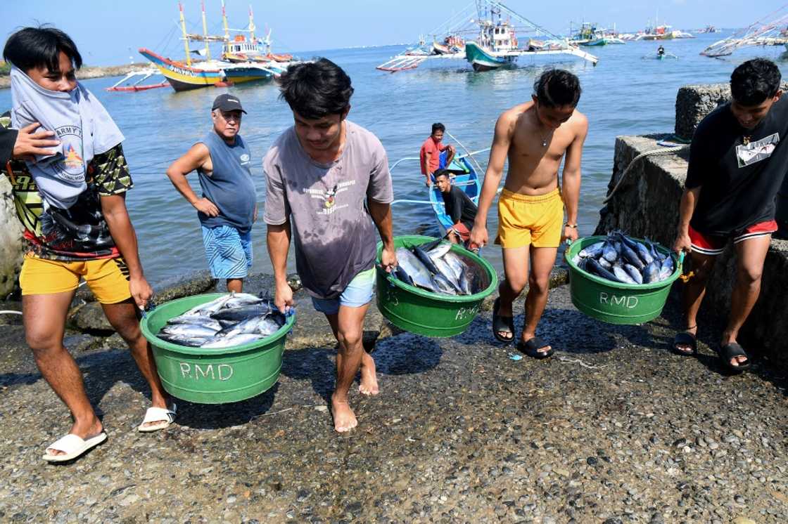 Beijing's seizure of Scarborough Shoal in the South China Sea has robbed fishermen Filipino fishermen in Cato village of a key source of income Beijing's seizure of Scarborough Shoal in the South China Sea has robbed fishermen Filipino fishermen in Cato village of a key source of income