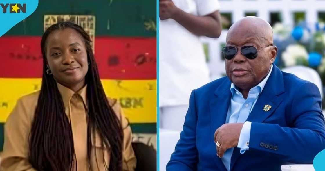 Gyankroma Akufo-Addo, Akufo-Addo, daughter, $25 million contract interchange paintings, Greater Accra Region, Art for All Project