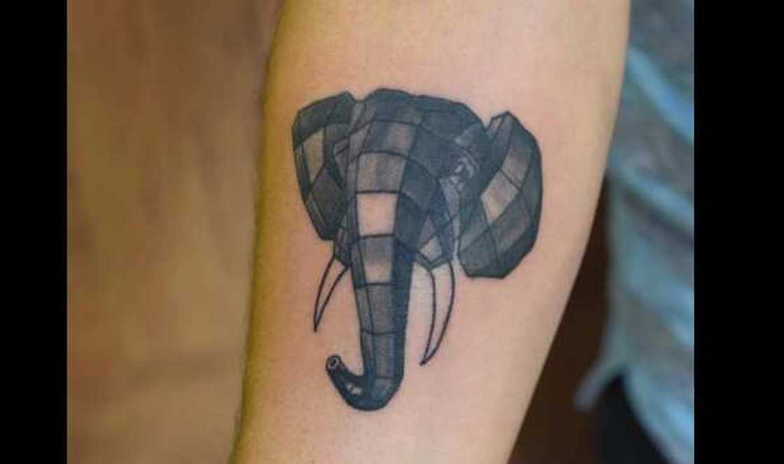 Elephant tattoo Elephant tattoo