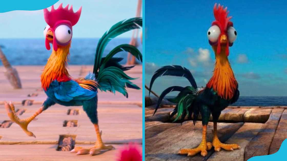 Heihei from Moana Heihei from Moana