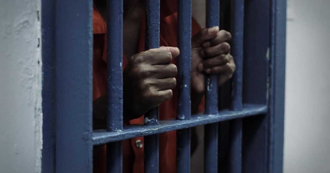 5 Ghanaians arrested in Dubai for trafficking 'wee'; 1 person already jailed 10 years 5 Ghanaians arrested in Dubai for trafficking 'wee'; 1 person already jailed 10 years