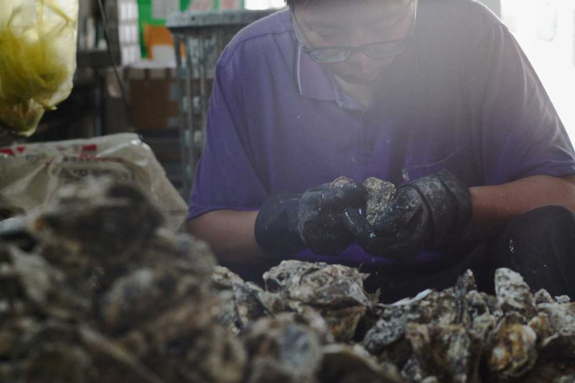 The oyster shells are ground into nano beads and combined with yarn made from recycled plastic bottles The oyster shells are ground into nano beads and combined with yarn made from recycled plastic bottles