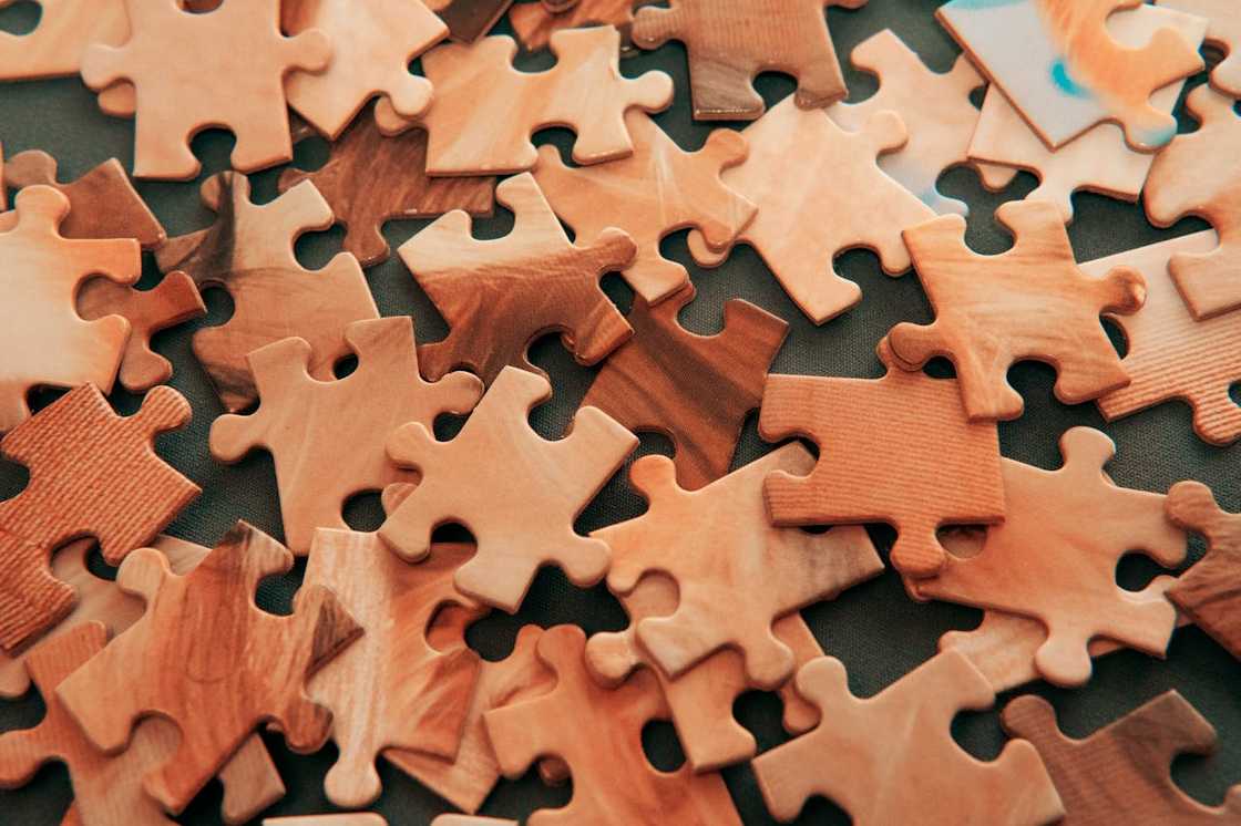 Brown puzzle pieces