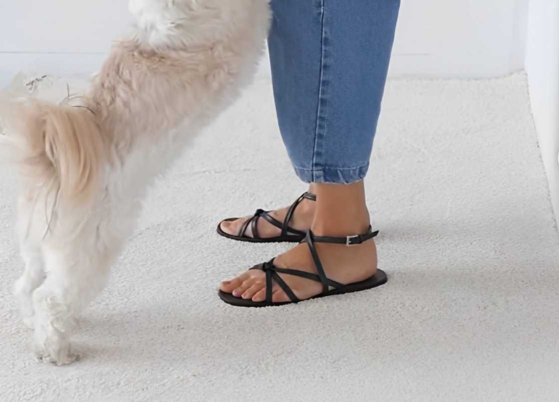 A woman wearing strappy sandals while playing with a dog