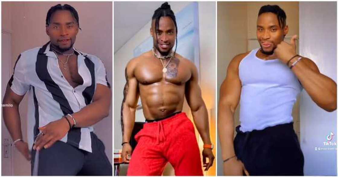 Photos of Moxie Amilo. Photos of Moxie Amilo.