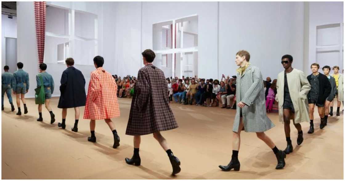 Models in the paper house Models in the paper house