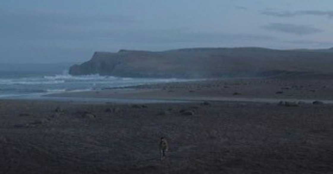 The New Yorker says it gets nearly 11 million monthly video views across its YouTube channel and newyorker.com, with documentaries such as "Haulout" -- seen here -- at the top of the list The New Yorker says it gets nearly 11 million monthly video views across its YouTube channel and newyorker.com, with documentaries such as "Haulout" -- seen here -- at the top of the list