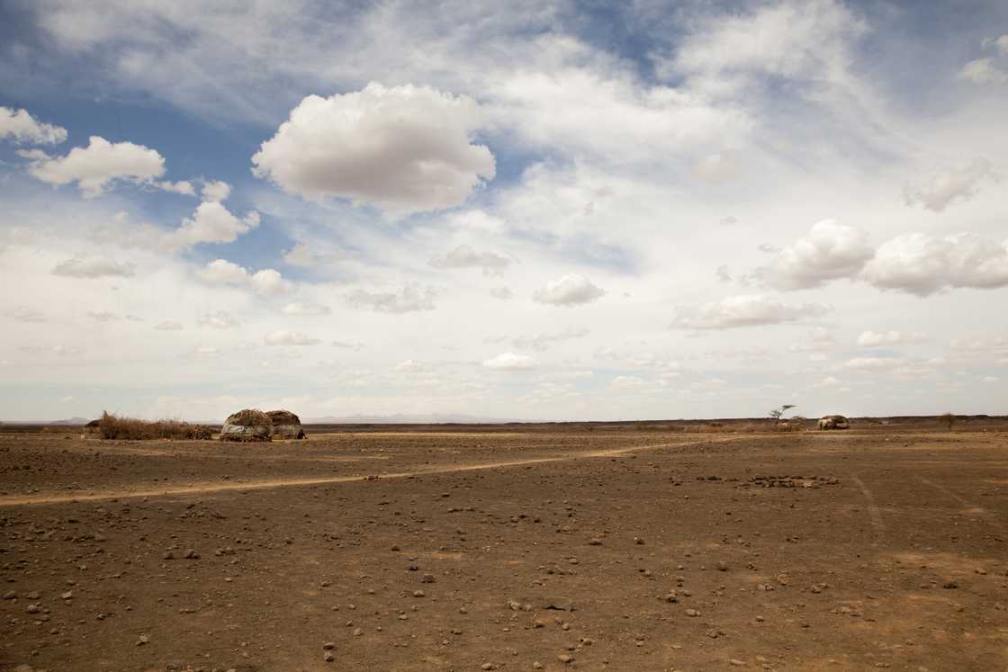 What is the driest desert in the world