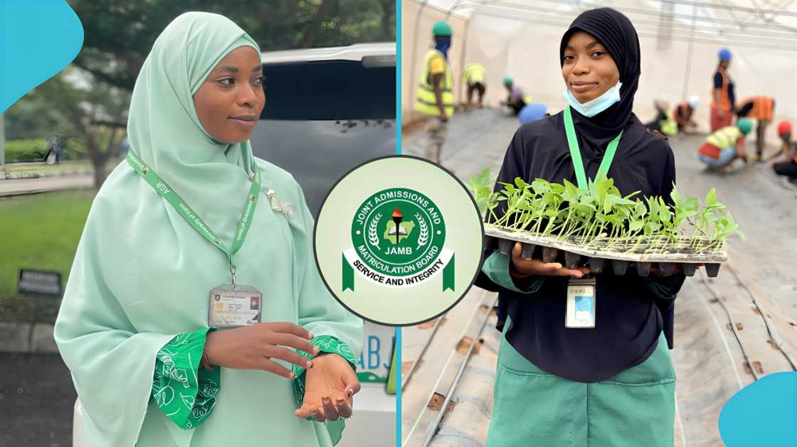 Zainab Yusuf, First Class degree, University of Ilorin, UNILORIN Agriculture graduate, 2.19 CGPA to First Class, Nigerian student success story, JAMB score 184, WAEC and NECO results, academic turnaround, student motivation Zainab Yusuf, First Class degree, University of Ilorin, UNILORIN Agriculture graduate, 2.19 CGPA to First Class, Nigerian student success story, JAMB score 184, WAEC and NECO results, academic turnaround, student motivation