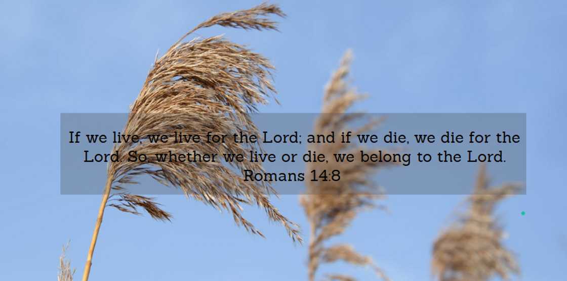 words of wisdom words of wisdom