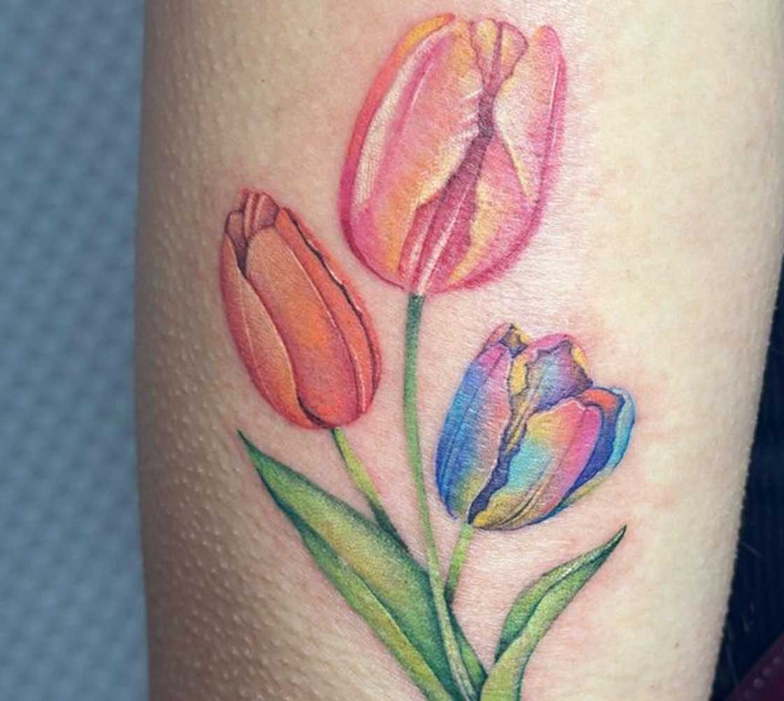 The tulip tattoo