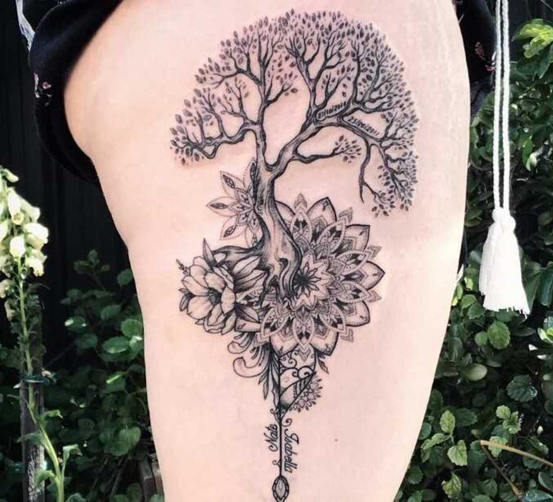 tree of life tattoo ideas tree of life tattoo ideas