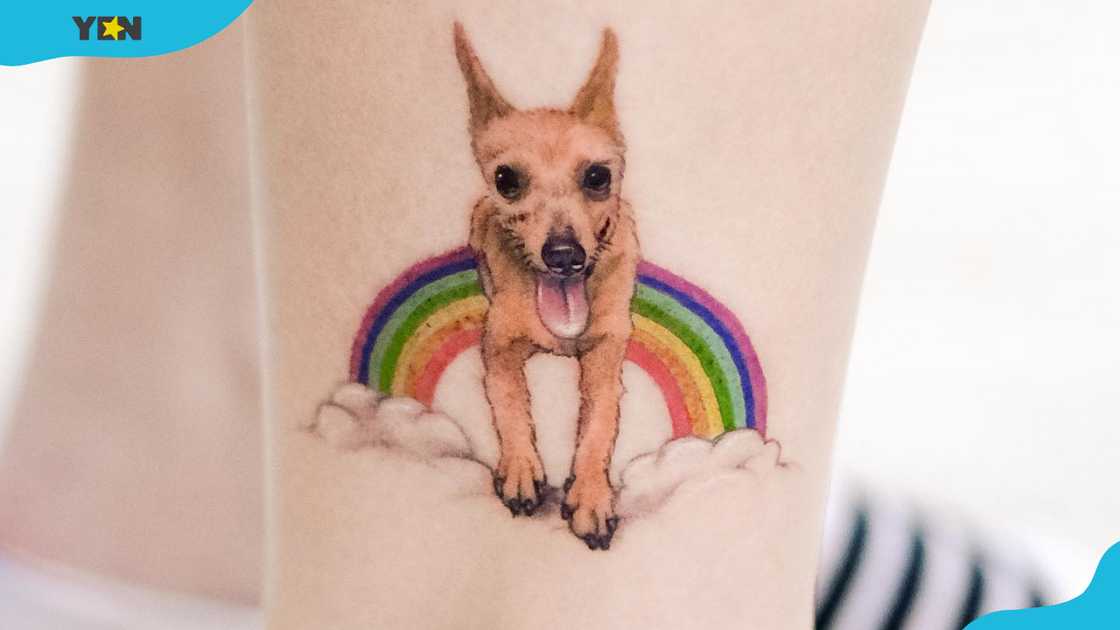 Rainbow bridge dog memorial tattoo Rainbow bridge dog memorial tattoo