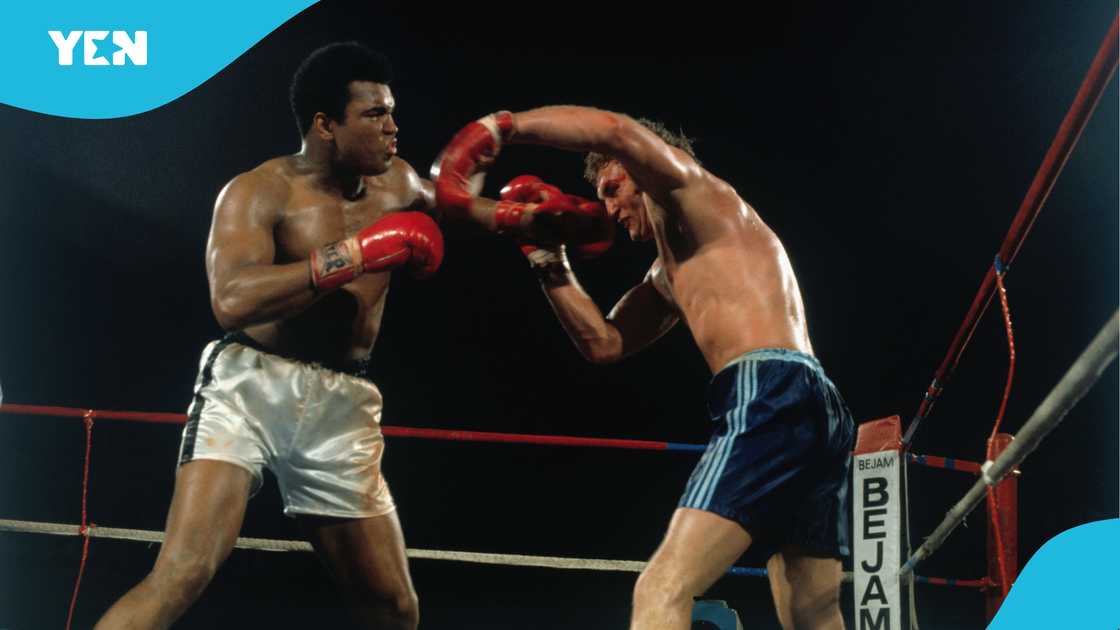 Joe Bugner, Joe Bugner dies, Muhammed Ali, Joe Bugner fights Muhammed Ali Joe Bugner, Joe Bugner dies, Muhammed Ali, Joe Bugner fights Muhammed Ali