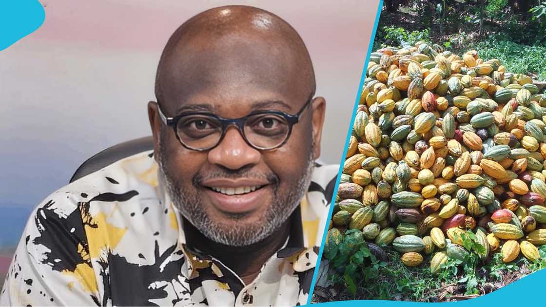 Randy Abbey, Ghana Cocoa Board, COCOBOD, salary cuts, executive management. Randy Abbey, Ghana Cocoa Board, COCOBOD, salary cuts, executive management.