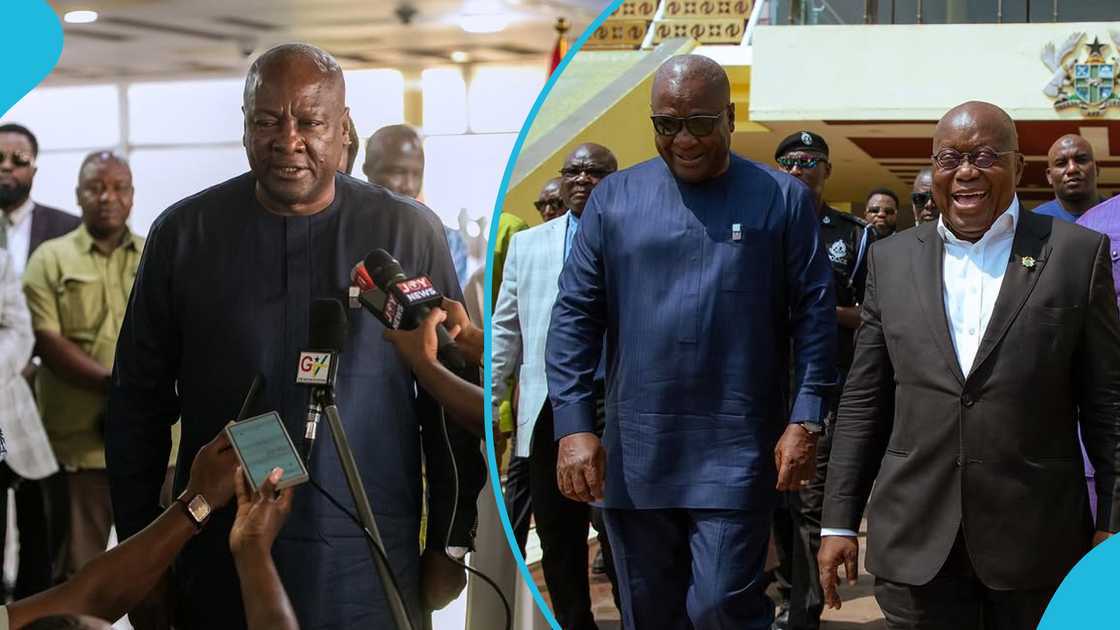 President John Mahama, Former President Akufo-Addo